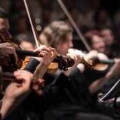 studio, orchestra.jpg