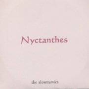 Nyctanthes