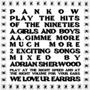 PANKOW PLAY THE HITS OF THE NINETIES
