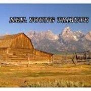 NEIL YOUNG TRIBUTE