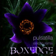 Pulsatilla (electro remix)