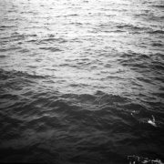 album Riverberi - Il Fieno