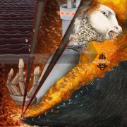 album Cathodnatius - Ananda Mida