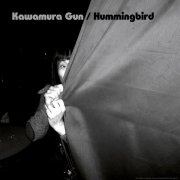 Hummingbird