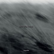 sow the wind
