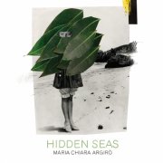 Hidden Seas