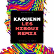 Les Hiboux Remix
