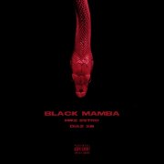 Black Mamba