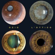 Ozio
