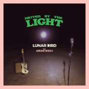 Driven by the Light (feat. Adriano Modica)
