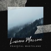 Peaceful Wasteland