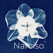 Narciso