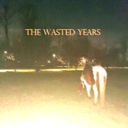 The wasted years