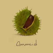 Ommeid