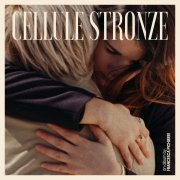 Cellule Stronze