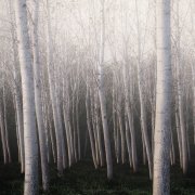 COSCIENZA E LACRIME