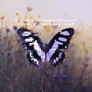 The Worm & The Butterfly