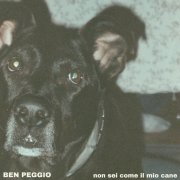 Non Sei Come Il Mio Cane