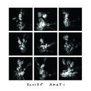 DAVIDE AMATI