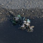 Sempre Tossico È L'amore