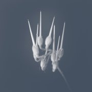 STILL​~​AEOLIAN (Sandro Mussida & Francesco Fabris)