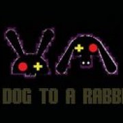 a dog to a rabbit 