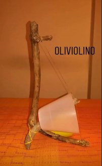 Oliviolino