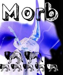 morb2