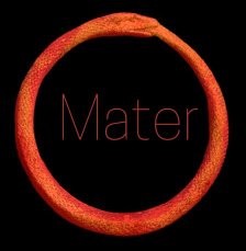 Mater logo demo 2