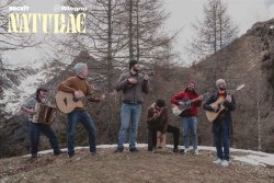 I Pinguini Tattici Nucleari - tutte le foto sono di Marco Previdi