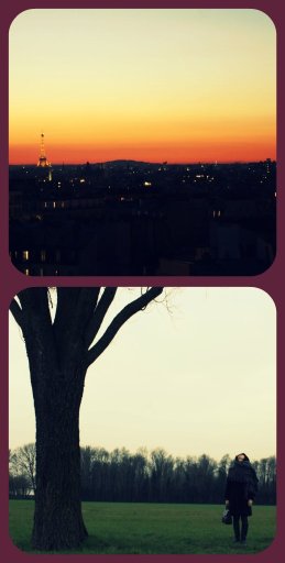 paris bassa 2