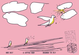bird-fronte-low