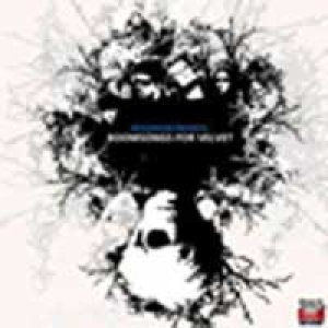 album Boomsongs for velvet - Da'namaste