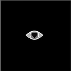 album The Noir Album - Belladonna