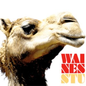 album Stu - Waines