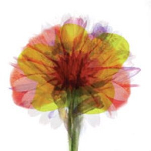 album Solaris EP - Aim