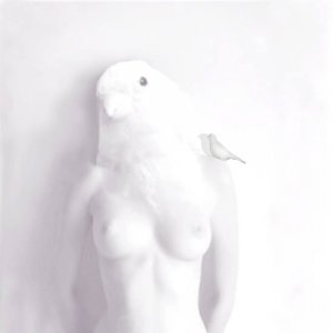album ANIMAL - micromouse