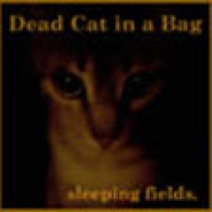 album Sleeping Fields - Dead Cat in A Bag