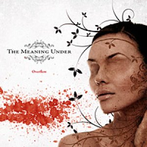album Overflow - The Meaning Under