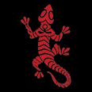 album Tha Gecols - The Gecols