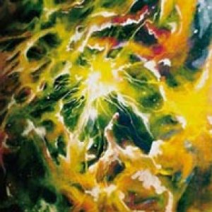 album Out of Body experience - Woodcalumet