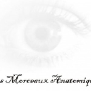 album Kids are playing piano and smoking cigarettes - Les Morceaux Anatomiques