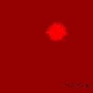 album Lecrevisse - Lecrevisse