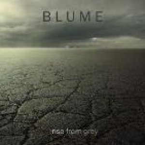 album Rise From Grey - Blume