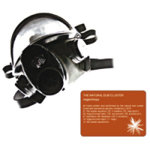 album Neg-Entropy - The Natural Dub Cluster