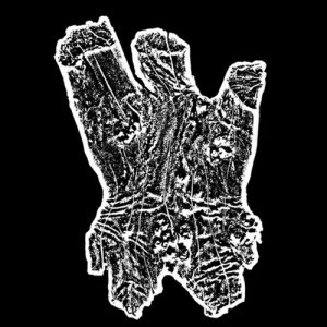 album Ep - how much wood awciawccw