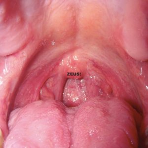 album Zeus! - ZEUS!