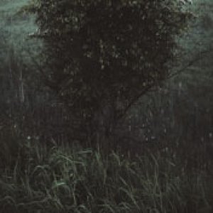 album Hints - Lloyd Turner