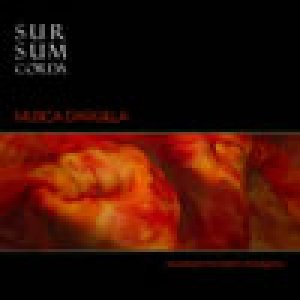 album MUSICA D'ARGILLA - Sursumcorda