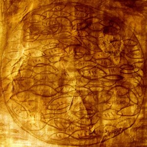 album Animal Verses/Black Veils 7